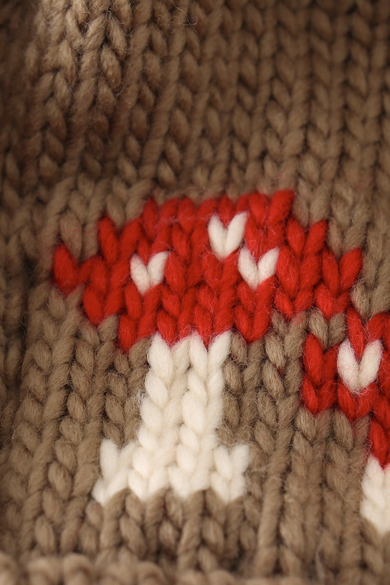 Brown pompom mushroom cable beanie hat